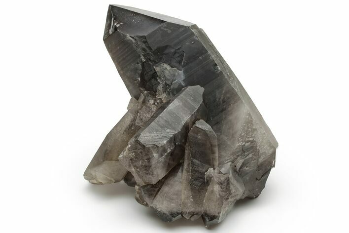 Natural Smoky Quartz Crystal Cluster - Brazil #231300